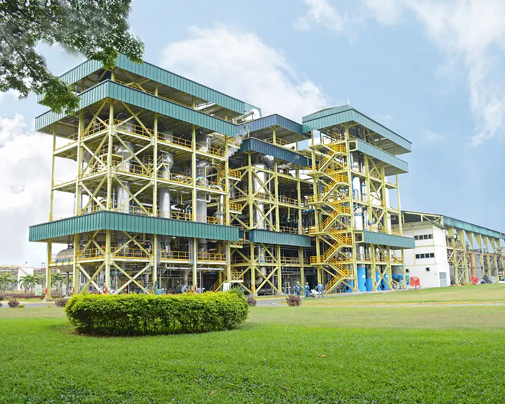 Providencia: The Only B-Certified Mill