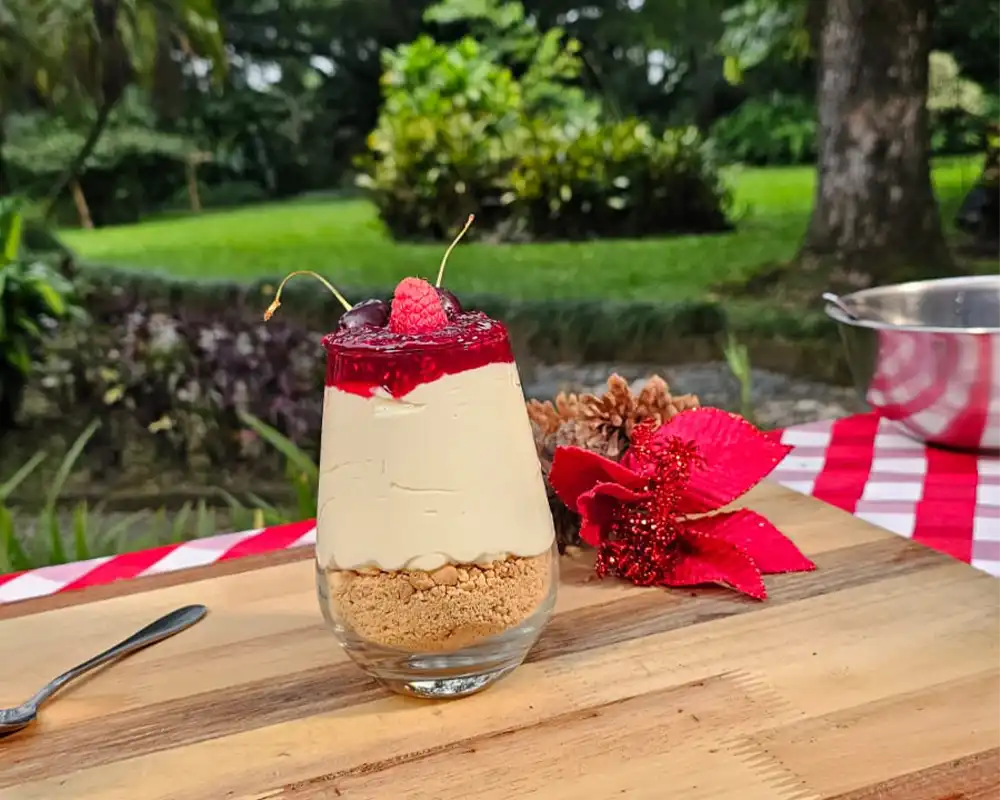 Christmas Cheesecake with Organic Sugar